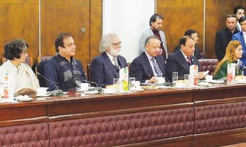 Pakistani, Afghan parliamentarians call for stronger bilateral ties