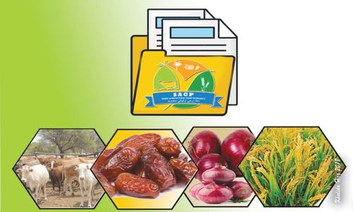 Sindh Agriculture Growth Project makes progress Sindh Agriculture Growth Project makes progress