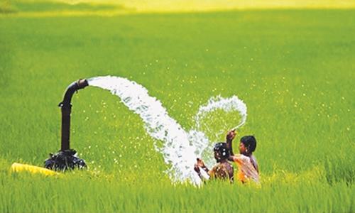 Groundwater &mdash; one of the most neglected resources