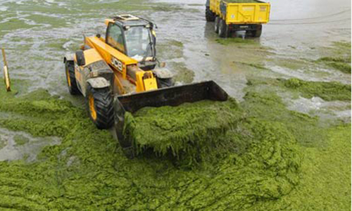 Tariff to be introduced for solid waste-based power generation