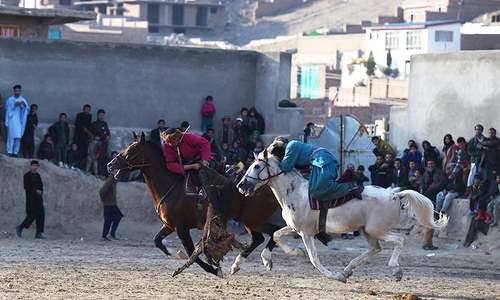 'Beasts of war': Afghanistan's buzkashi horses prepare for battle 'Beasts of war': Afghanistan's buzkashi horses prepare for battle