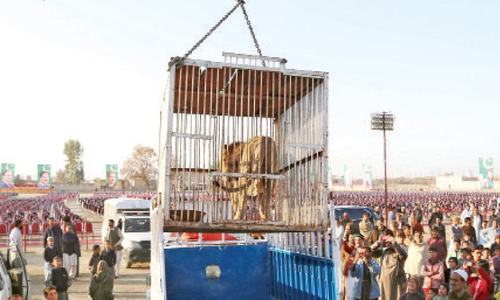Differences in PML-N as Nawaz due in Haripur today