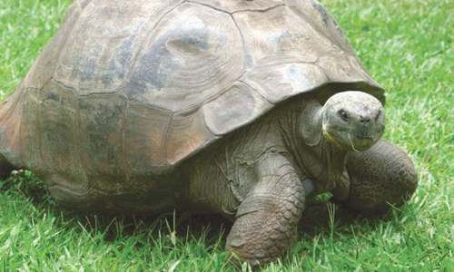 Ecuador resists temptation, restricts tourism in Galapagos