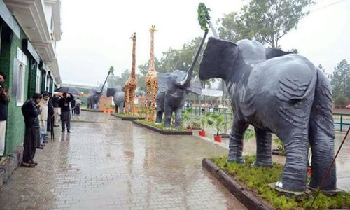 A view of the zoo.&mdash; Photo by Ali Akbar
