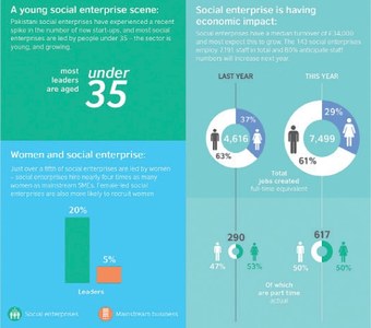 Are social enterprises making govt complacent?