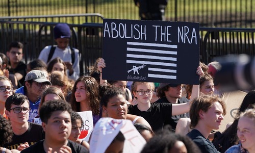 Far-right conspiracy theorists target Florida shooting survivors