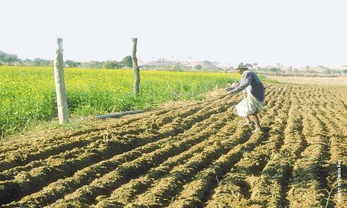 Severe water shortage ahead, Kharif crops likely to suffer