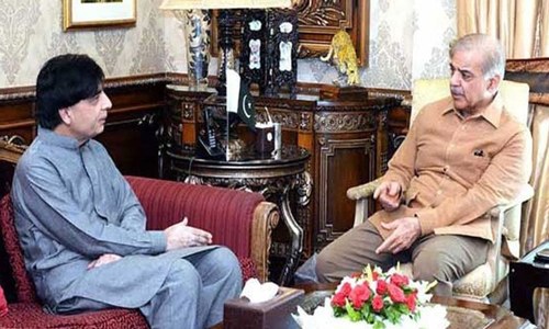Shahbaz meets Nisar to 'address reservations'
