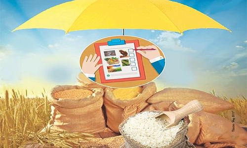 Challenges in implementing food security policy