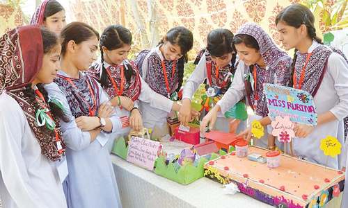 Schoolgirls take keen interest in science fair