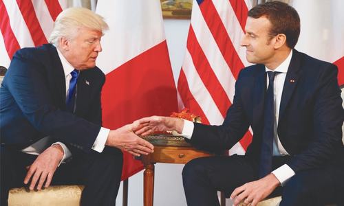 Macron taps into US Marines lore with tree sapling gift for Trump