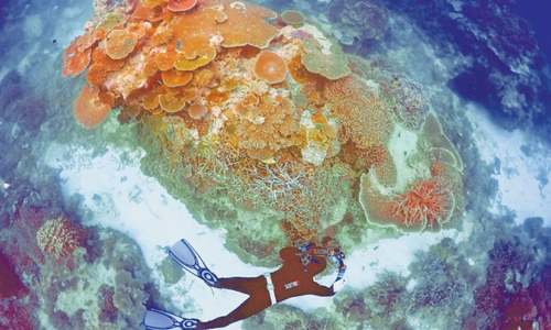 Australia to spend $400m on Great Barrier Reef