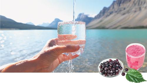 HEALTH: STAYING HYDRATED IN THE HEAT HEALTH: STAYING HYDRATED IN THE HEAT