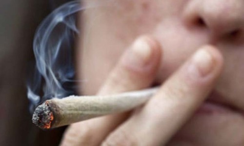 Stop smoking hashish inside Parliament Lodges, says Senate committee