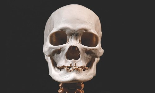 Sweeping gene survey reveals new facets of evolution