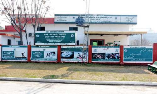 Is government capable of providing quality rehabilitation?