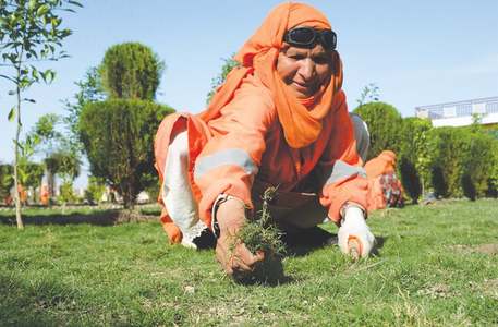 How Afghanistan&rsquo;s urban gardens are changing women&rsquo;s lives
