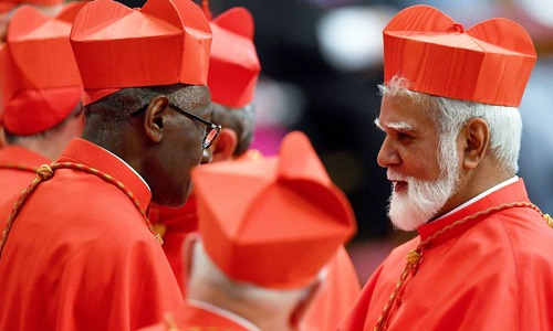 Pope Francis appoints Pakistani priest as cardinal