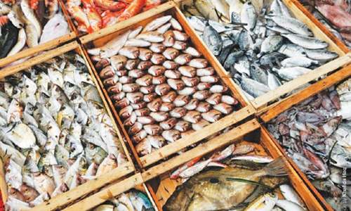 &lsquo;Blue Revolution&rsquo; to enhance fisheries production