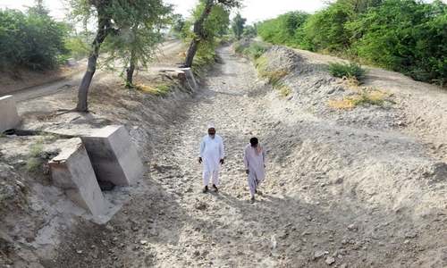 Water shortage intensifies, crops at risk