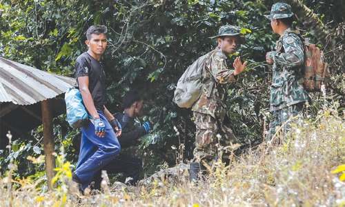 Bird&rsquo;s nest collectors scour for ways into Thai cave