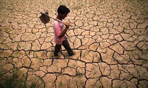 Indian rights watchdog sounds alarm over farmer suicides