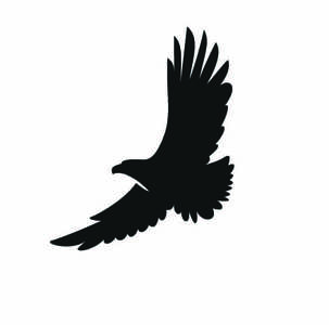 All Pakistan Muslim League