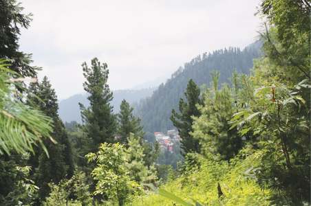 TRAVEL: WILDLIFE ON THE HILLS
