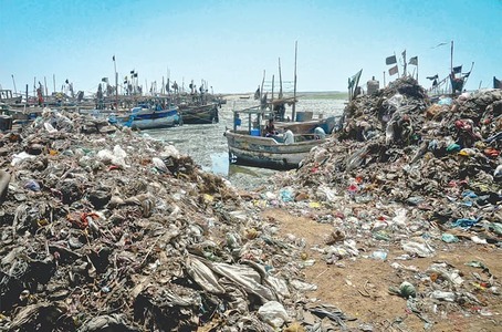 Korangi creek biodiversity being destroyed by untreated waste: study