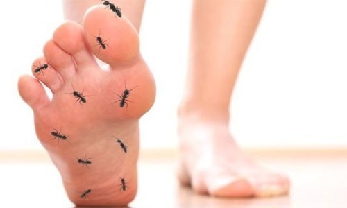 اکثر ہاتھوں یا پیروں میں سوئیاں چبھنے کا احساس ہوتا ہے؟