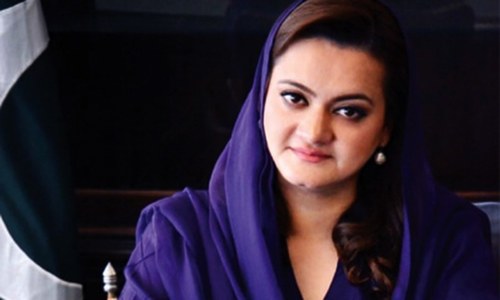 Marriyum raises 'technical concerns' over ECP-devised i-voting system for overseas Pakistanis