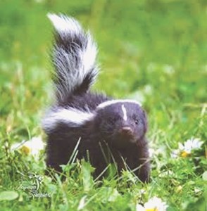 Nature: What’s that smell?