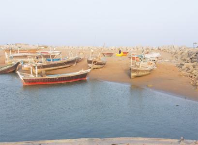 Situationer: Tragic saga of fisheries harbour