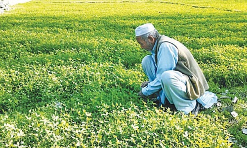 Mini-budget dashes farmers&rsquo; hopes