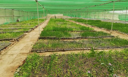 تھرپارکر: 'زیر زمین 9 ارب کیو بک میٹر پانی کو قابل استعمال بنانا ممکن ہے'