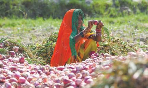 Helpful tips for the &lsquo;agriculture revolution&rsquo;