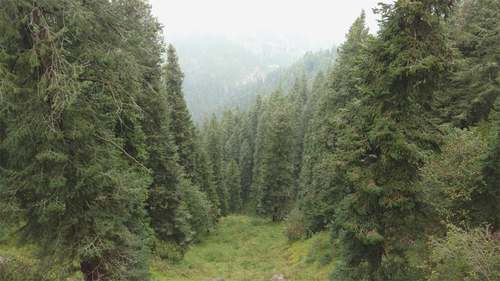 TRAVEL: CICADAS, CLOUDS AND CAMPSITES