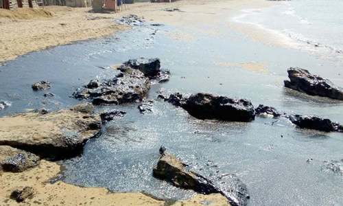 Churna Island directly hit by oil spill: experts