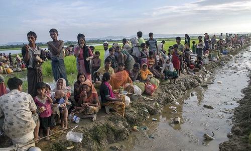 Aid groups say Rohingya 'terrified' about Myanmar repatriation