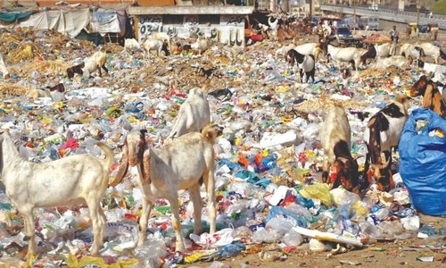 Cabinet approves phase-wise ban on plastic bags across&nbsp;Sindh