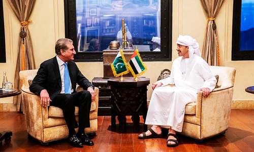 Foreign Minister Qureshi calls on UAE counterpart in Abu Dhabi