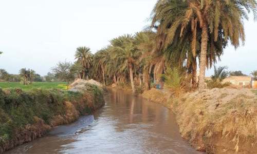 Punjab to plug losses with &lsquo;Master Water Plan&rsquo;