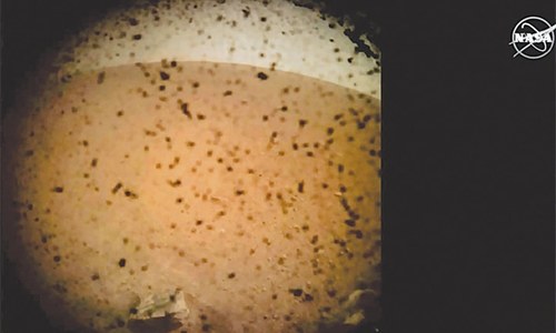 Nasa&rsquo;s probe lands safely on Mars, sends picture