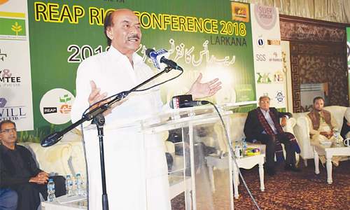 PPP vows to strongly resist cut in provinces&rsquo; NFC share