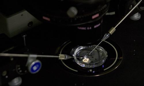 China halts activities of baby gene-editing scientist