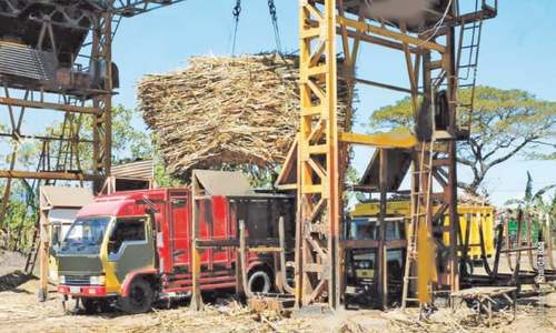 Receivables pile up as sugar cane growers wait for implementation of SC order
