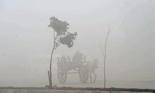 Thick fog blankets Punjab cities