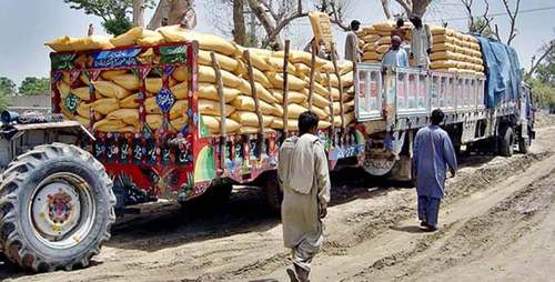ECC orders smooth delivery of urea to farmers