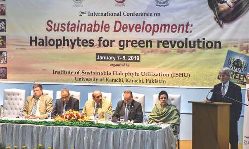 &lsquo;Salt-tolerant plants could tackle food insecurity&rsquo;