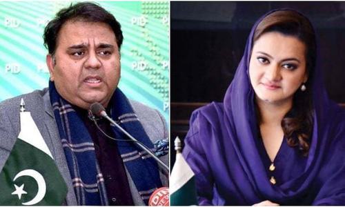 'Aleema baji is benamidar for Imran Khan,' claims Marriyum Aurangzeb
